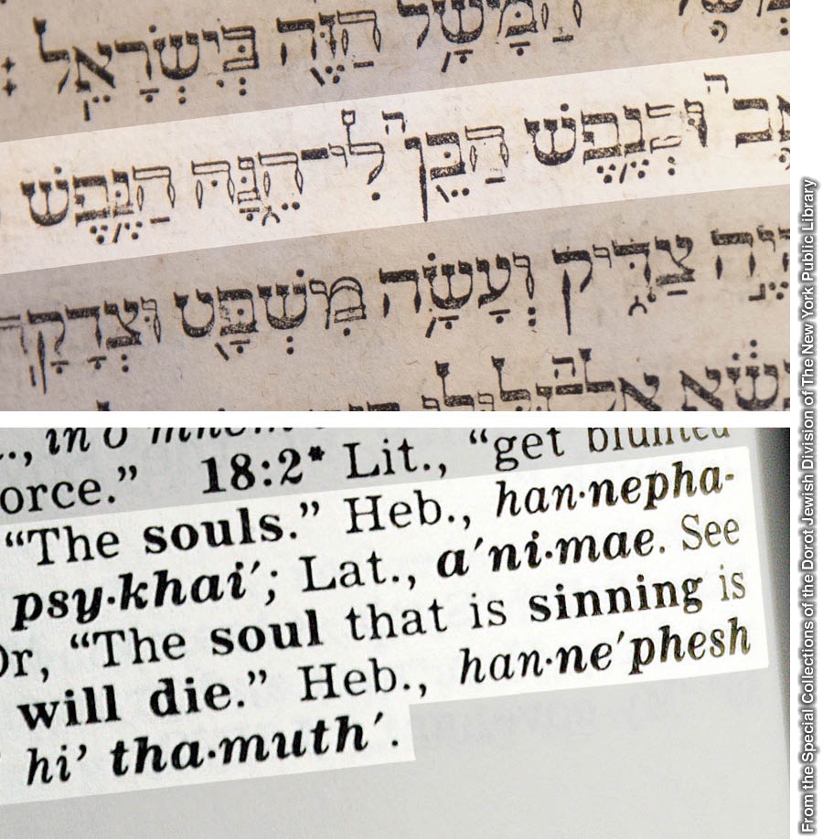 Ezechiël 18:4 in Hutters Hebreeuwse Bijbel en de voetnoot in de Nieuwe-Wereldvertaling van de Heilige Schrift — met studieverwijzingen