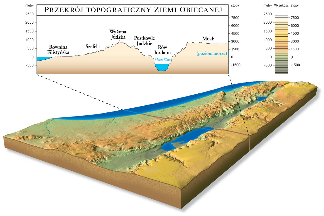 Przekrój topograficzny Ziemi Obiecanej