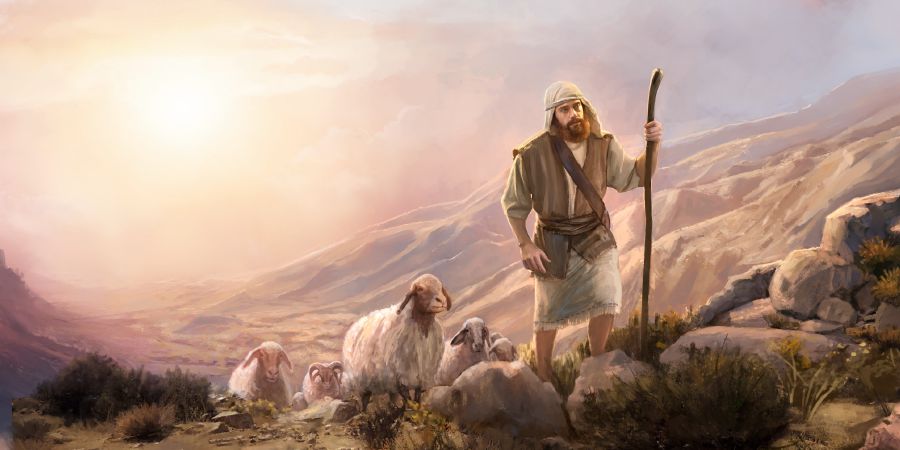 Pasterz prowadzi owce przez pustkowie.