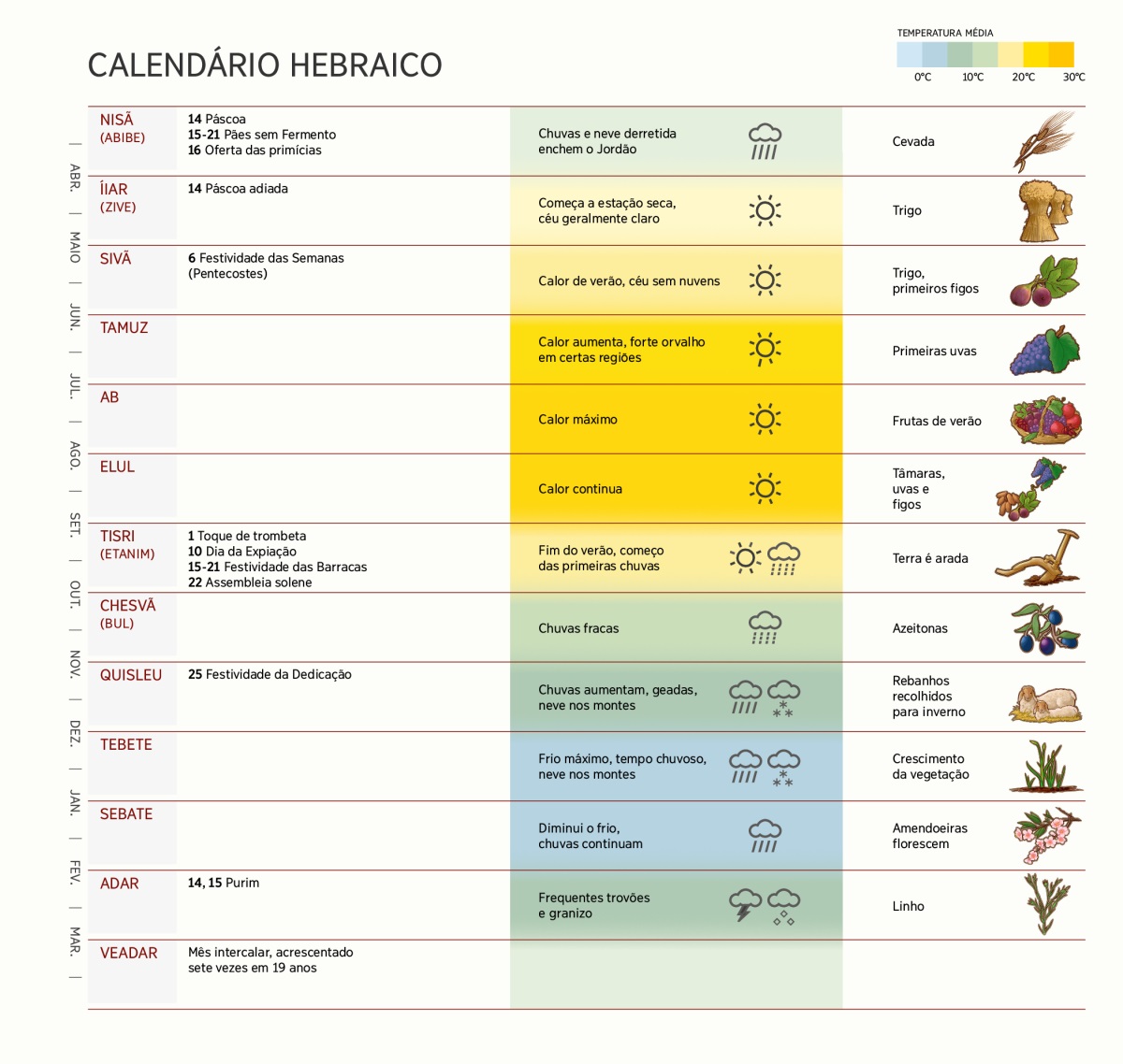 Uma tabela mostrando os meses, os eventos, as festividades, o clima e as colheitas de acordo com o calendário hebraico.