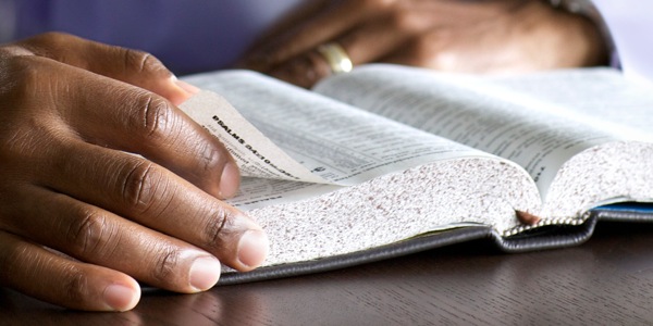 [Chipich chidia pa paj wa 3]