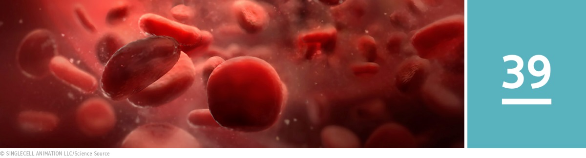 Lecția 39. Vedere microscopică a sângelui.