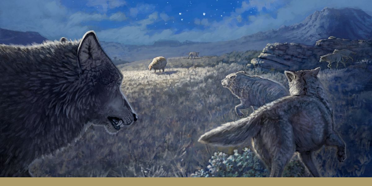 Одинокая овца в окружении волков.