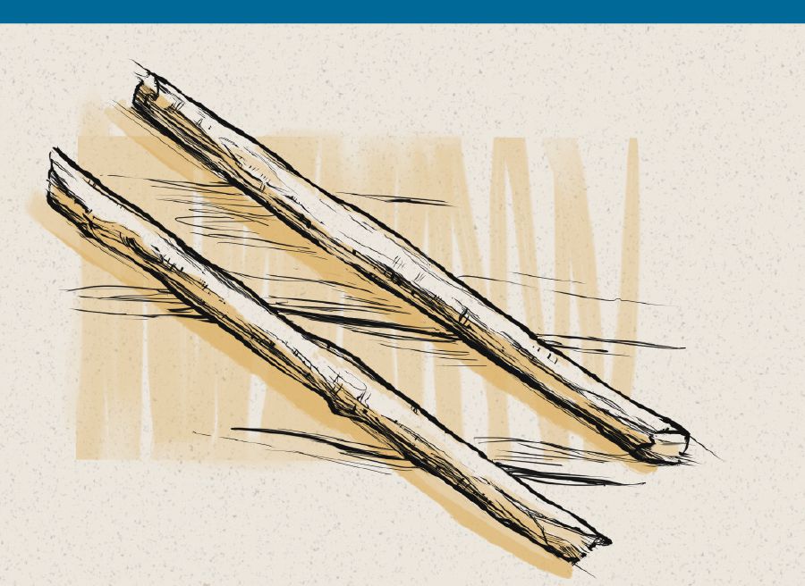 Две палки из пророчества Иезекииля.