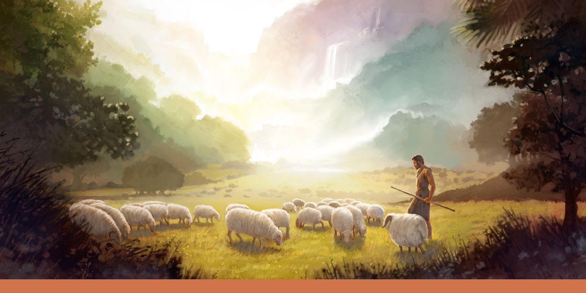 Авель внимательно осматривает своё стадо.