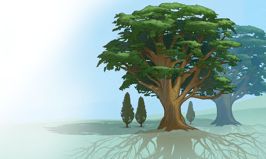 Ibiti binini vy’imizi ikomeye birakingira uduti tukiri duto