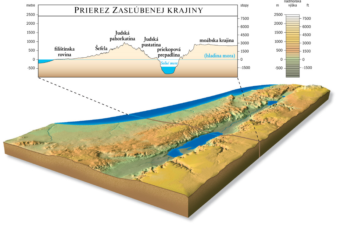 Prierez Zasľúbenej krajiny