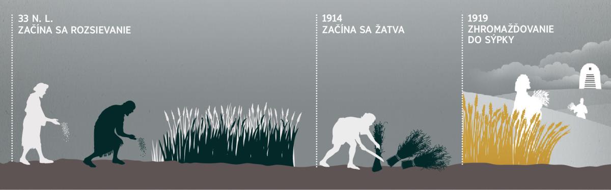 Časová os, na ktorej je označené rozsievanie, žatva a zhromažďovanie do sýpky