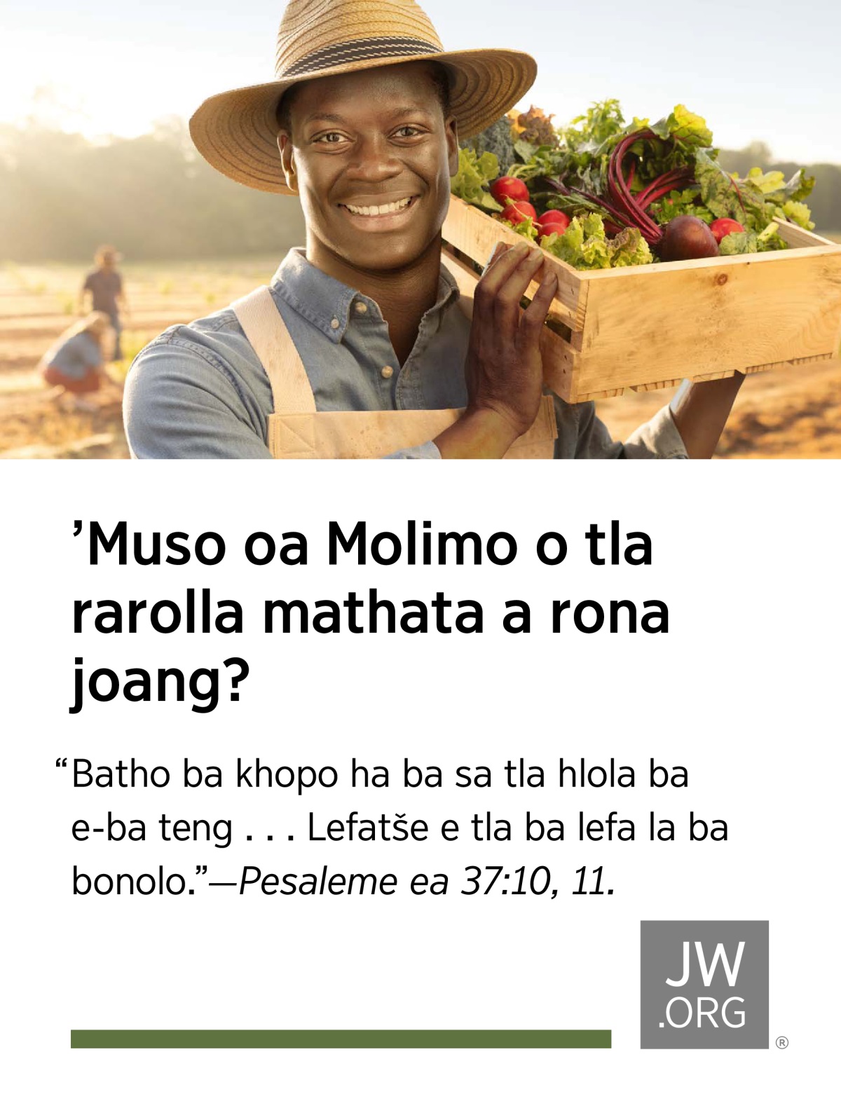 Sehoai se jere lijo tseo se qetang ho li kha tšimong se thabile ka lebokose le entsoeng ka lepolanka.