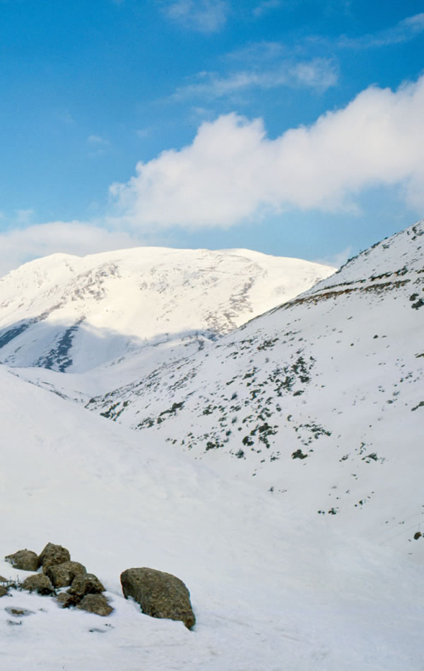 Lithaba li koahetsoe ke lehloa.