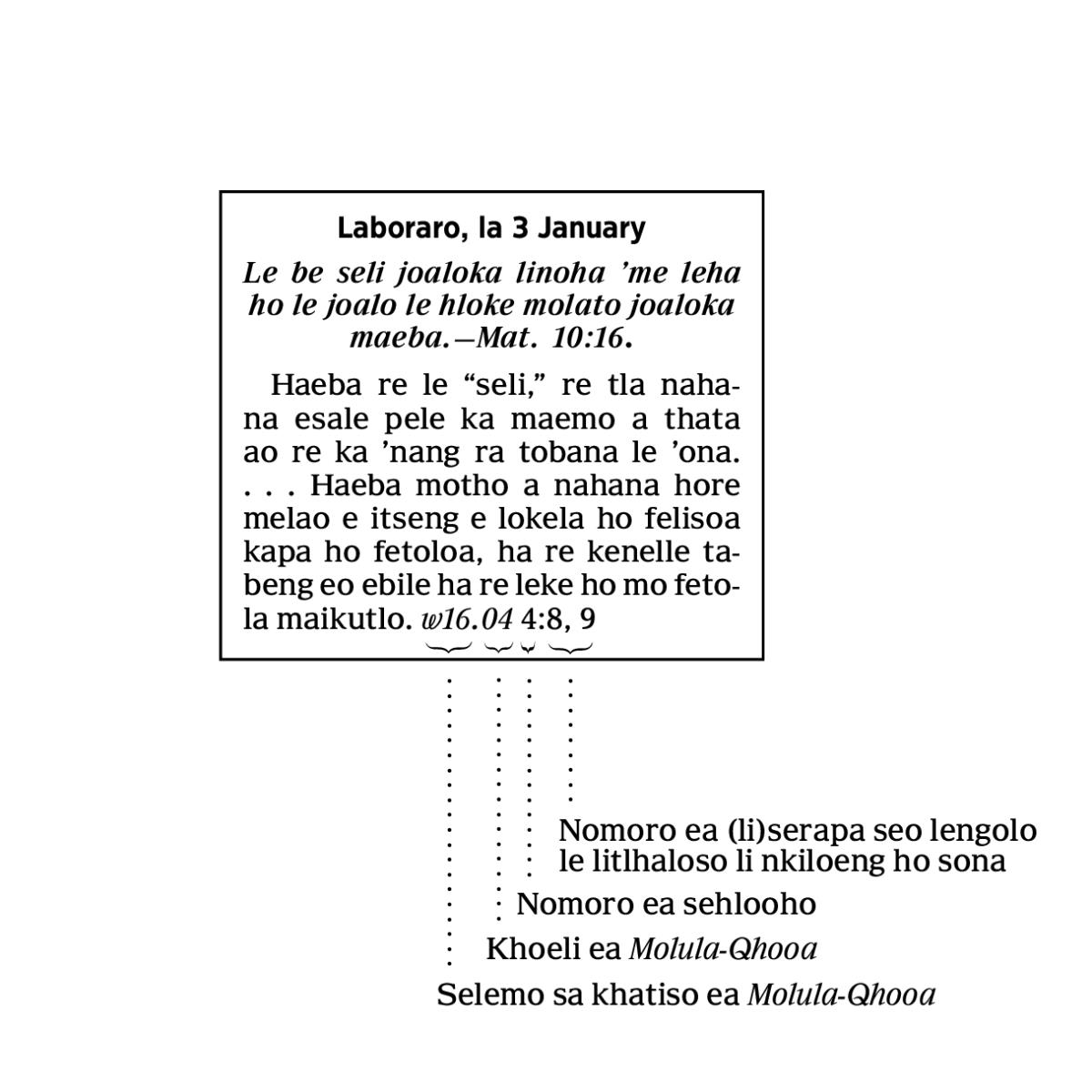 [Picture on page 6]