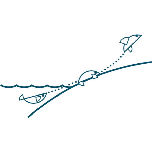 Ho iphetola ha lintho