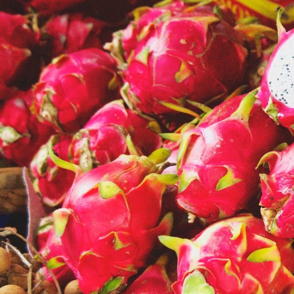 Tholoana e bitsoang dragon fruit
