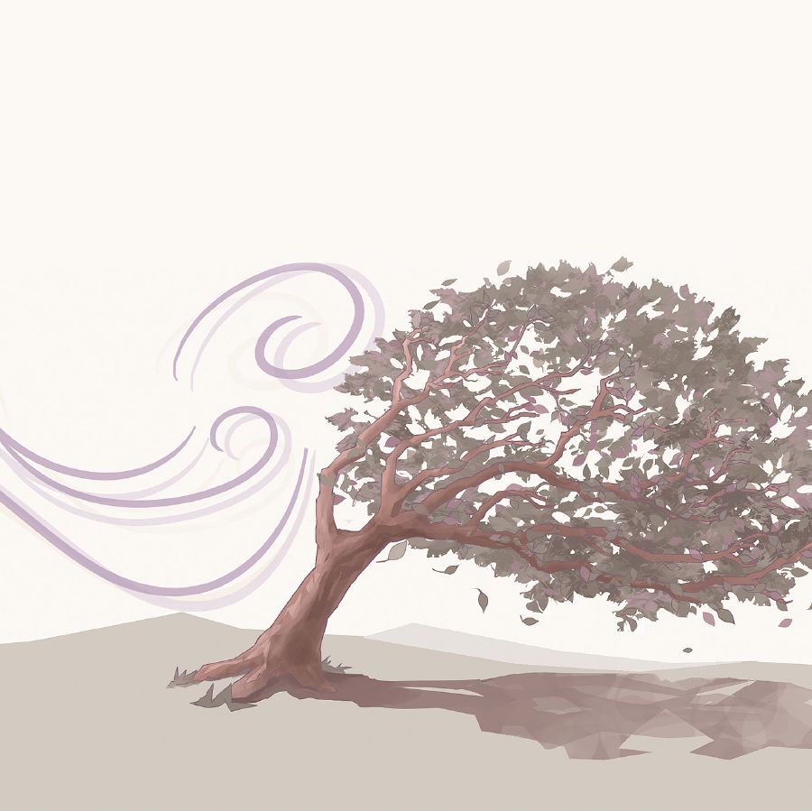 Sefate se kobuoa ke moea