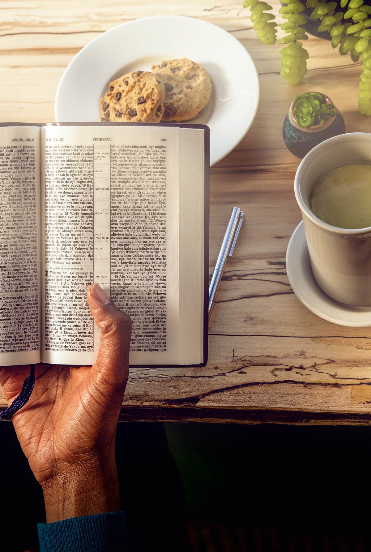 Motho ea balang Bibele