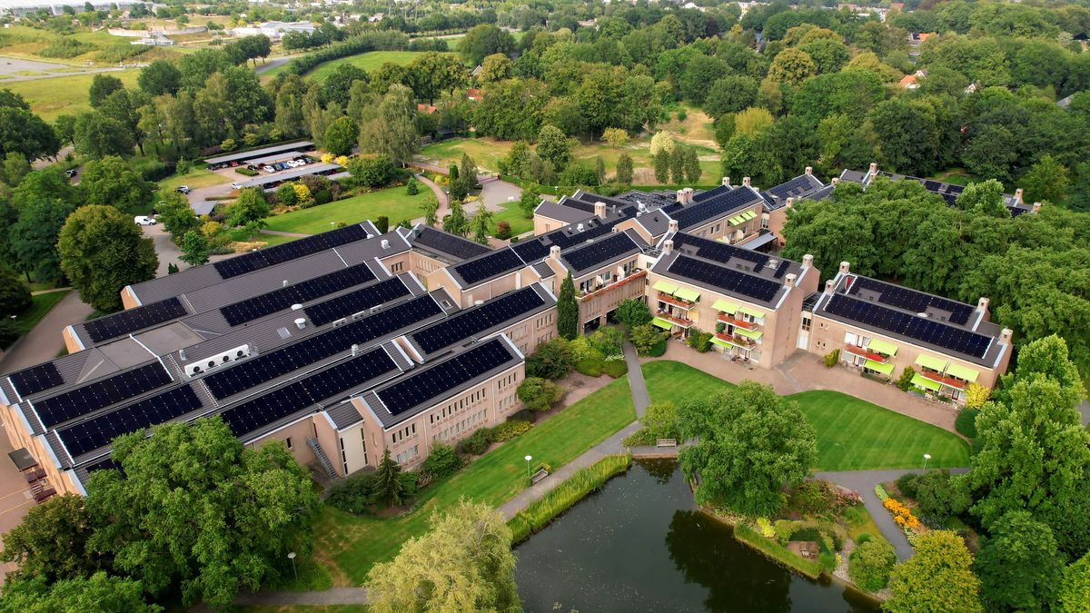 Li-solar tse kentsoeng mehahong ea lekala ea Netherlands.