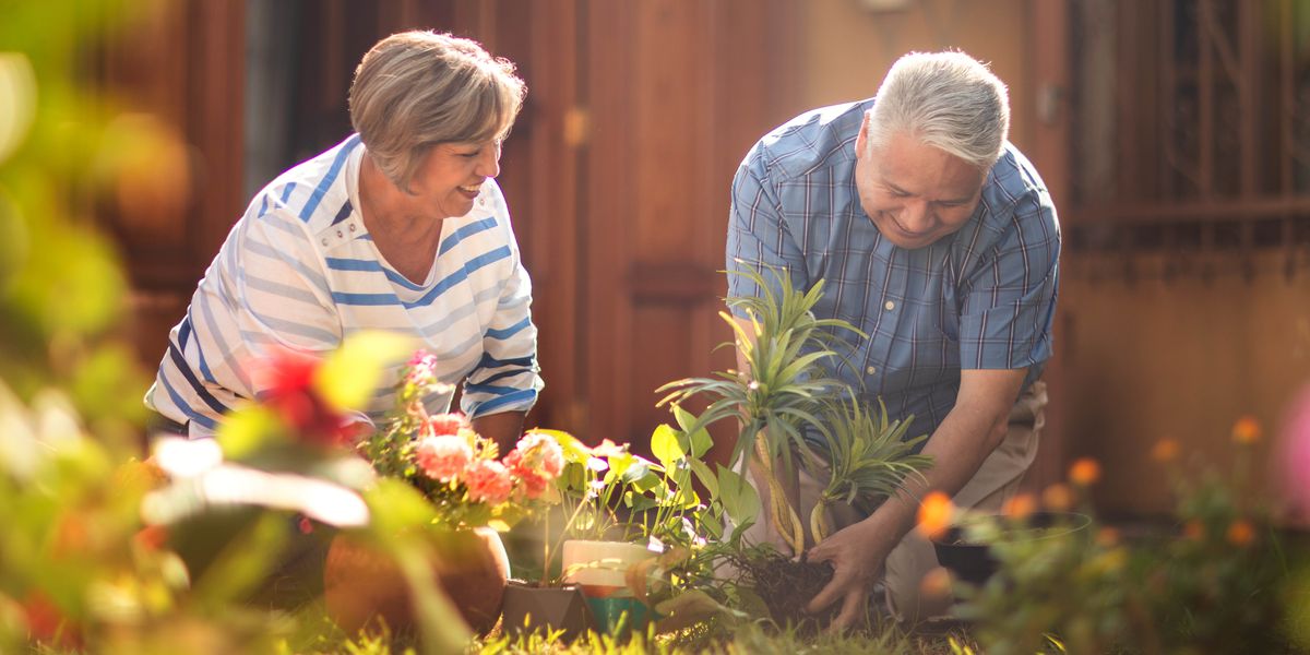 Banyalani ba holileng ba lema lipalesa ba thabile.