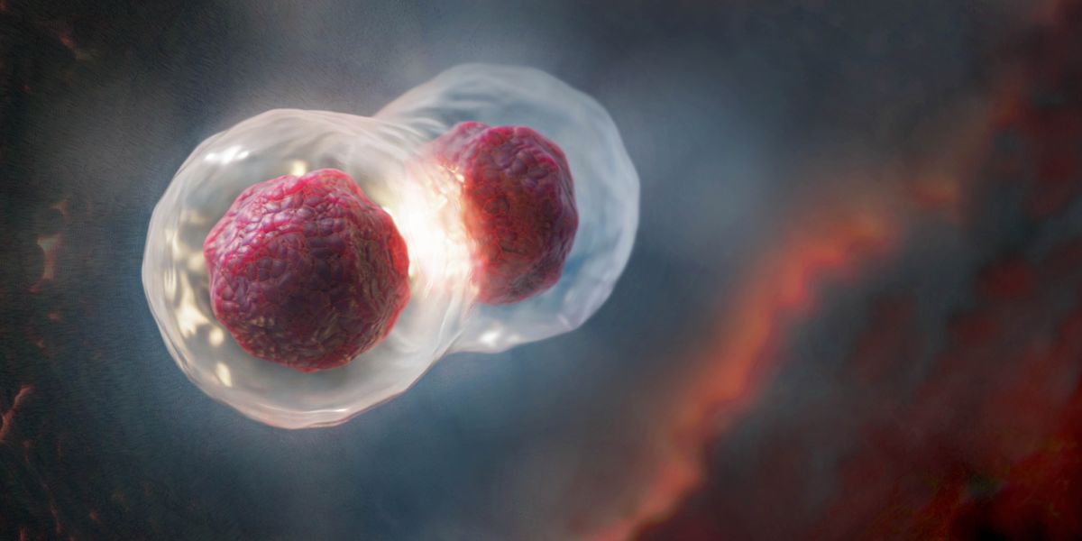 Sele e ikarola habeli.