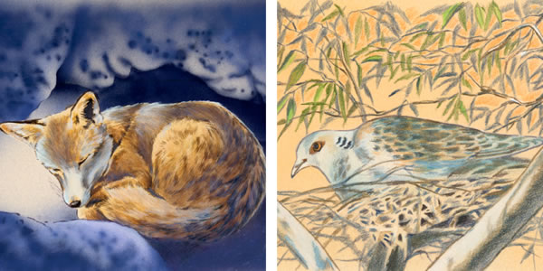 1. Phokojoe e ka sekoting; 2. Nonyana e lutseng ka har’a sehlaha