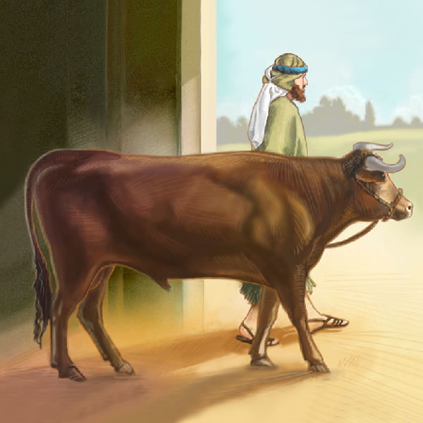 Monna oa Moiseraele o bulela poho