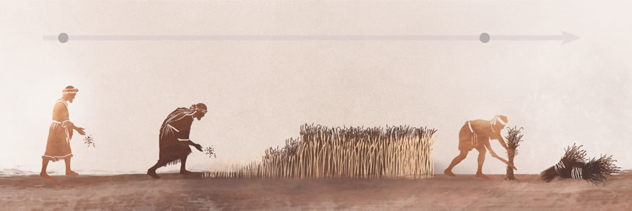 Papiso ea Jesu ea koro le mofoka