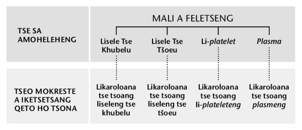 Mali le likaroloana tsa mali