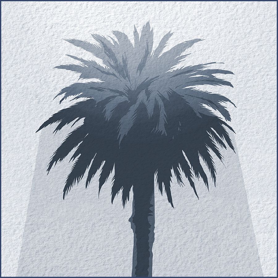 Moriti oa sefate o sireletsang letsatsing