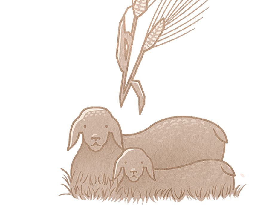 Litholoana tsa pele tsa kotulo le konyana e tōna