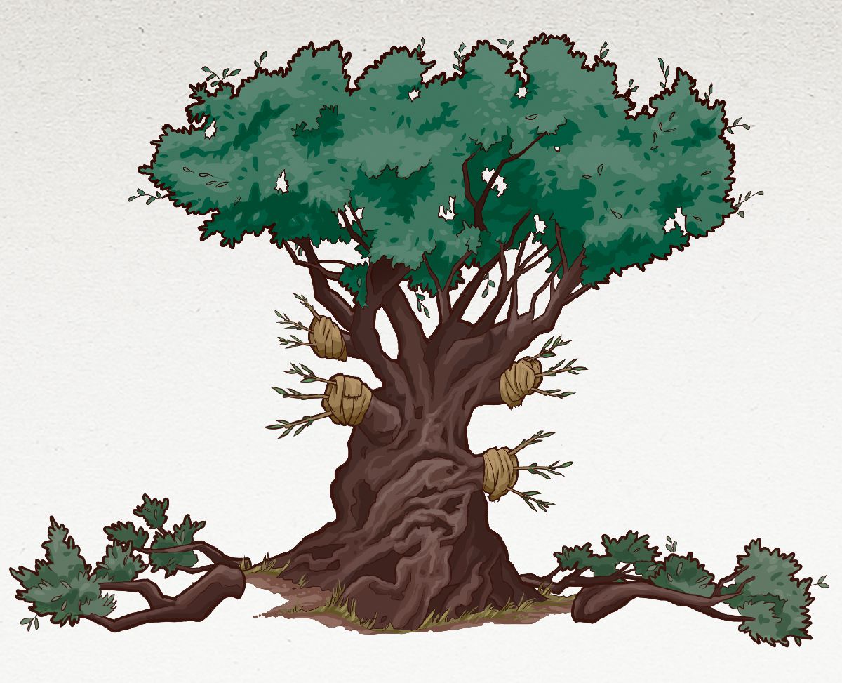 Sefate sa mohloaare sa ts’oants’etso se ho Baroma 11