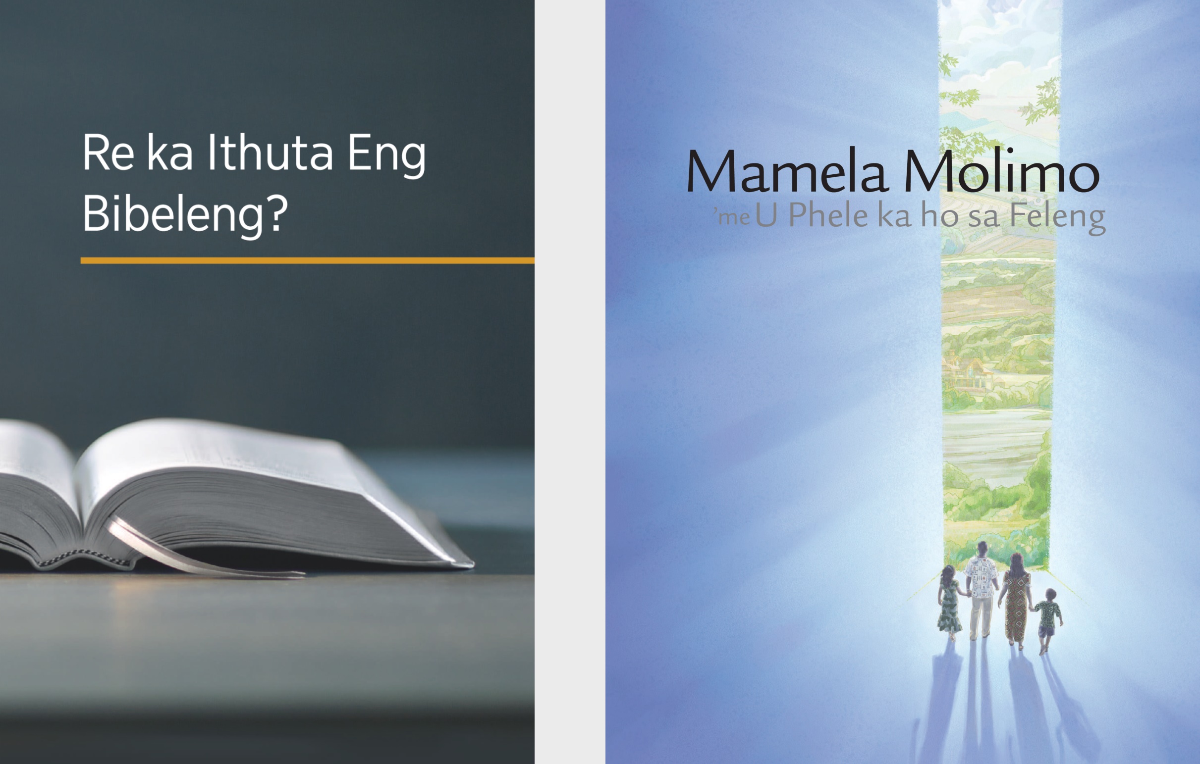 The book ‘What Can the Bible Teach Us?’ and the brochure ‘Listen to God and Live Forever.’