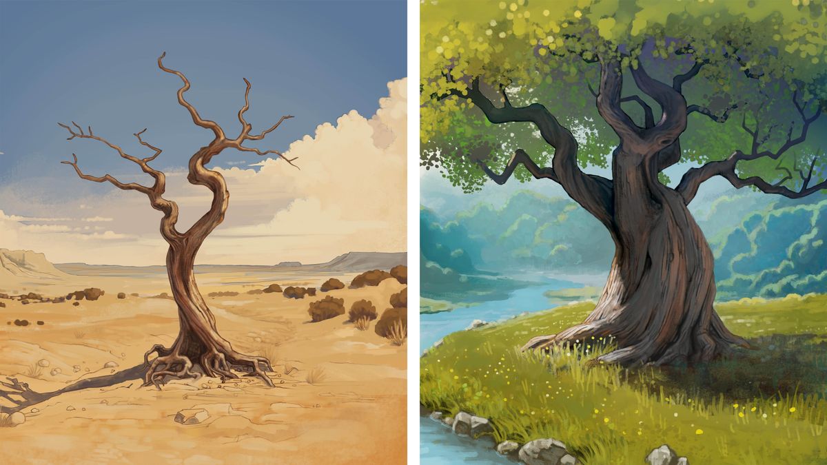 Litšoantšo: 1. Sefate se omelletseng se lehoatateng. 2. Sefate se setle se pel’a noka.