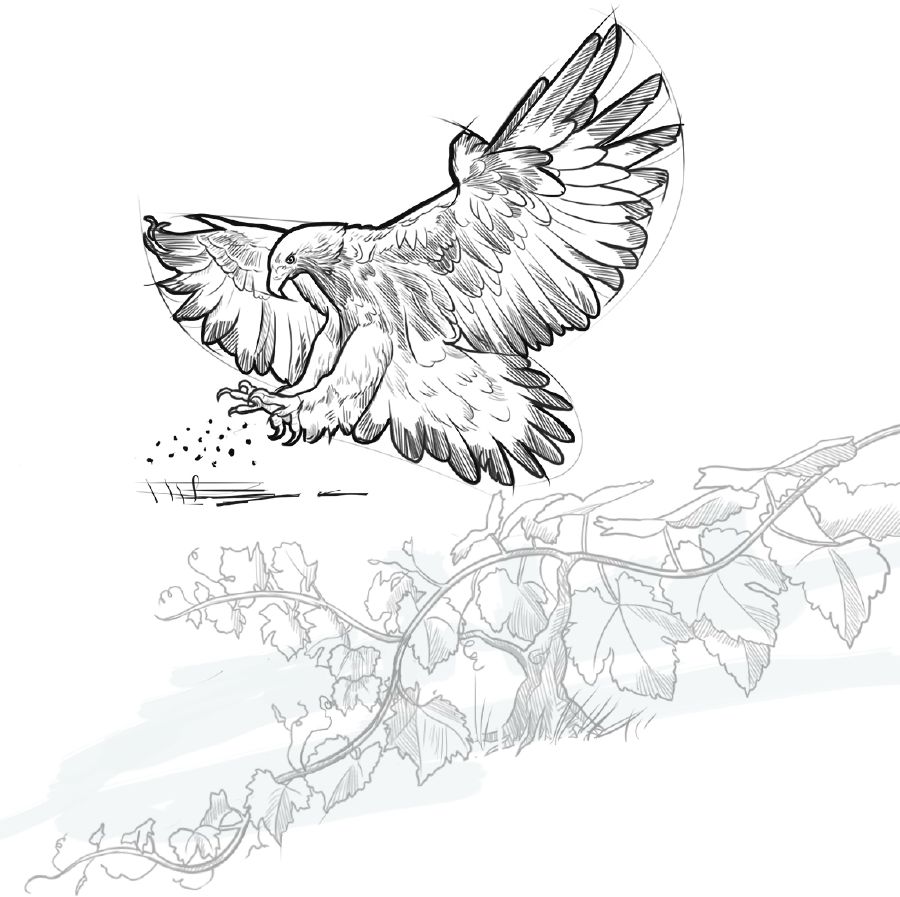 Litšoantšo: 1. Ntsu e jala peo tšimong. 2. Sefate se sekhutšoanyane sa morara.