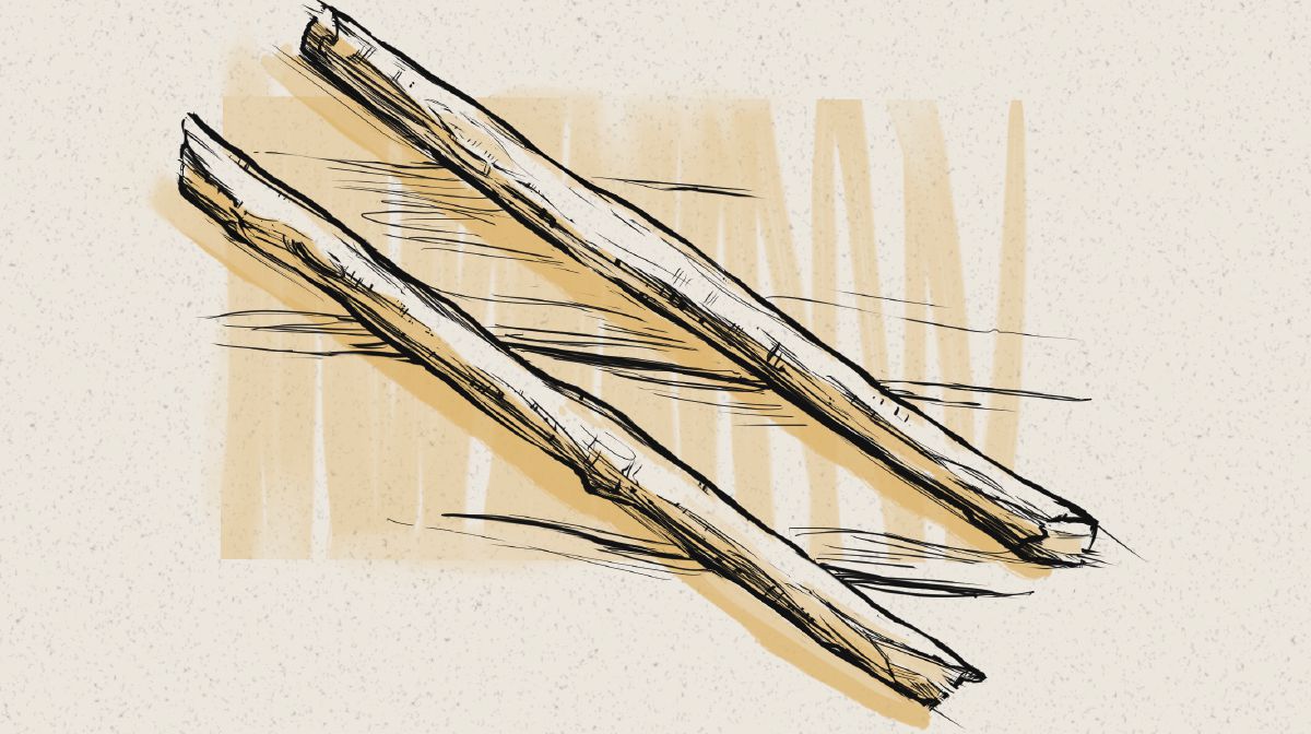 Lithupa tse peli tsa boprofeta ba Ezekiele.