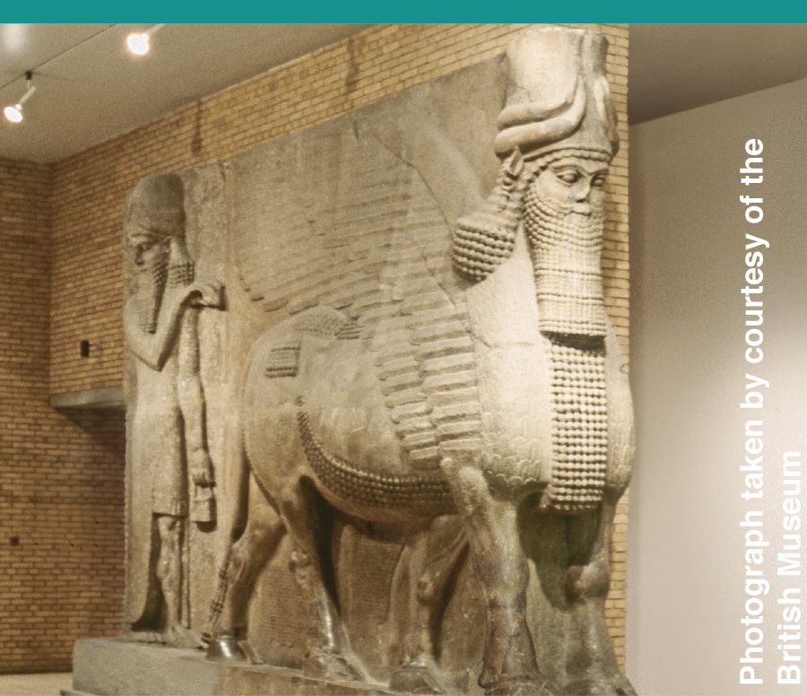 Seemahale sa poho e nang le hlooho ea motho le mapheo.