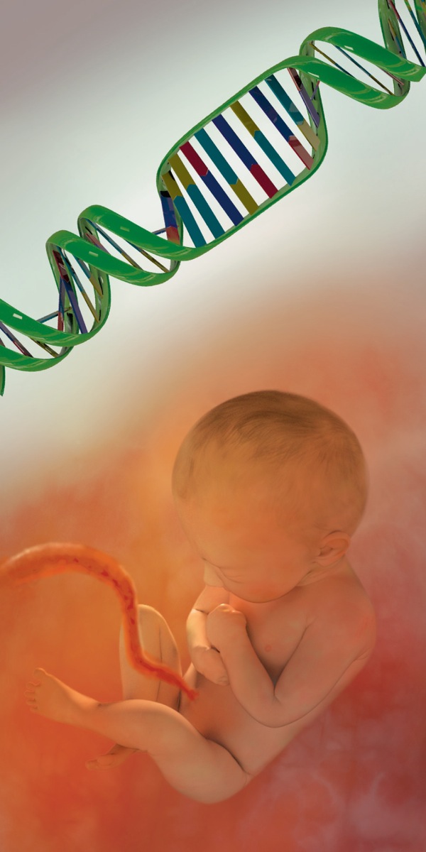 Moloho oa DNA le lesea le emotsoeng