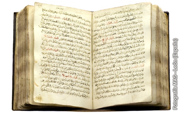 Bibele ea Searabia ea Likosepele e phetliloeng