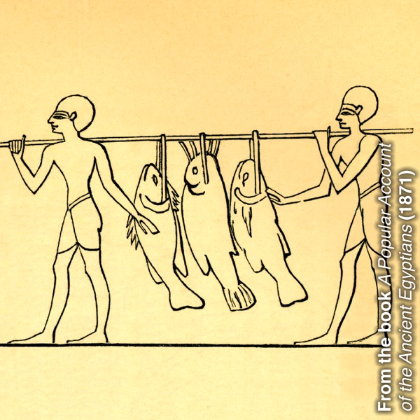 Batšoasi ba litlhapi ba mehleng ea khale ba jarile litlhapi