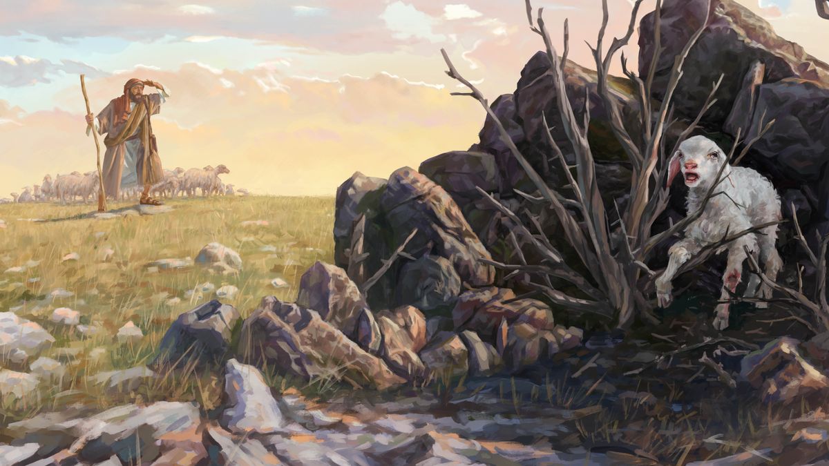 Molisa o na le mohlape oa hae, o ntse a batlana le nku e lahlehileng. Nku e lahlehileng e tšoasehile sehlahleng ebile e lemetse leotong.