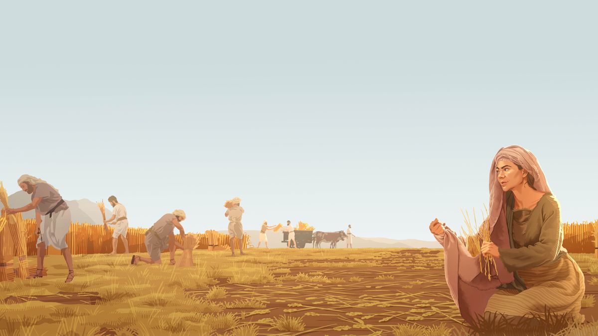 Ruthe o ntse a thonaka harese ka mor’a bakotuli tšimong ea Boase.