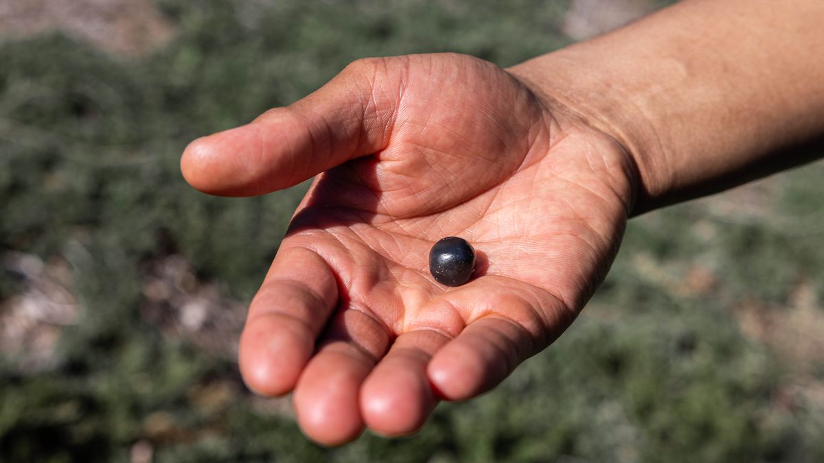 Motho ea tšoereng lejoe le bekhang le lekanang le pime.