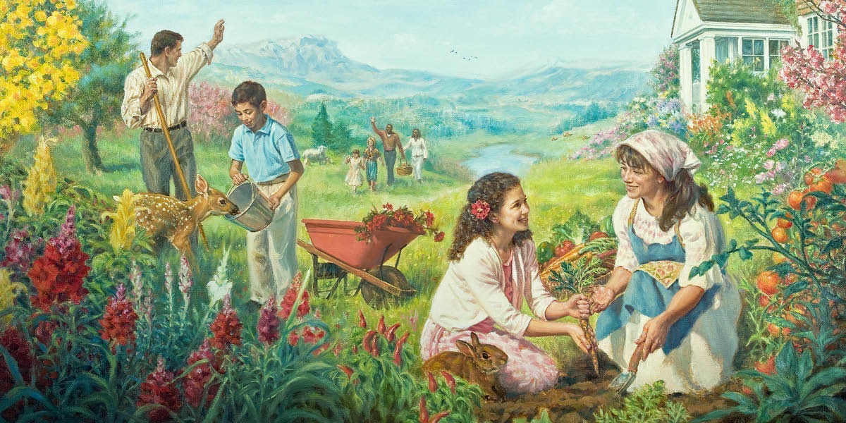 Malapa a Paradeiseng