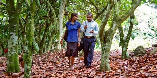 Setšoantšo se leqepheng la 53