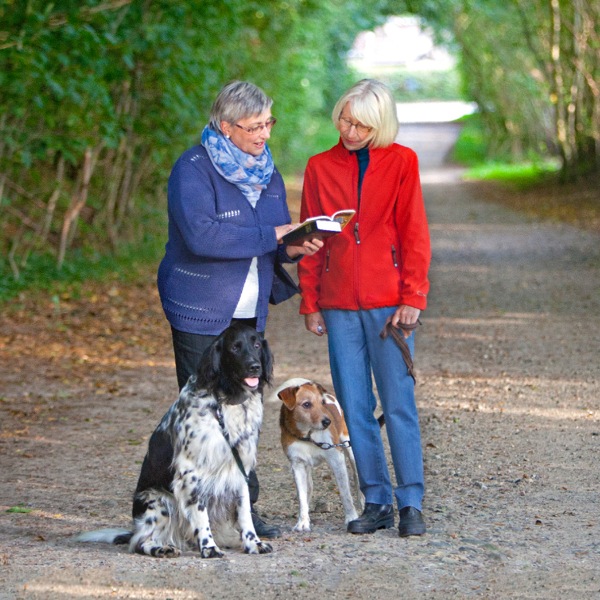 Setšoantšo se leqepheng la 68