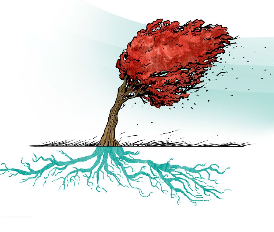 Sefate se nang le metso e tiileng ha se fotholoe ke moea o matla