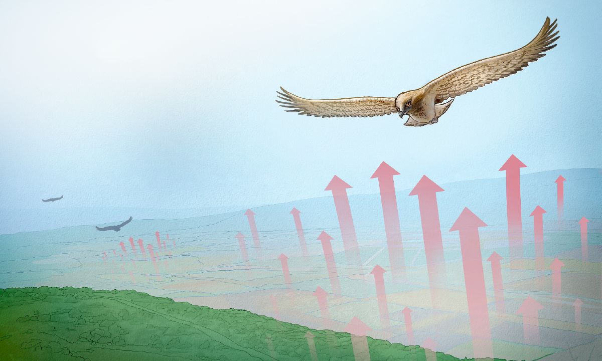 Manuk galudra bisa tetep ngapung ku ayana térmal