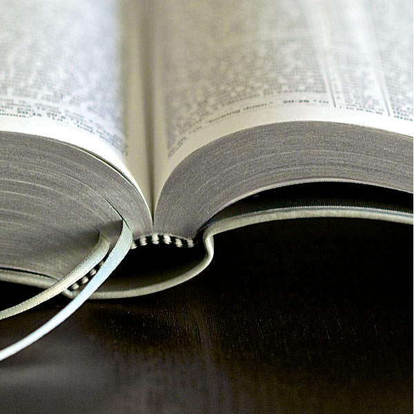 Sampul Kitab Suci Tarjamahan Dunya Anyar