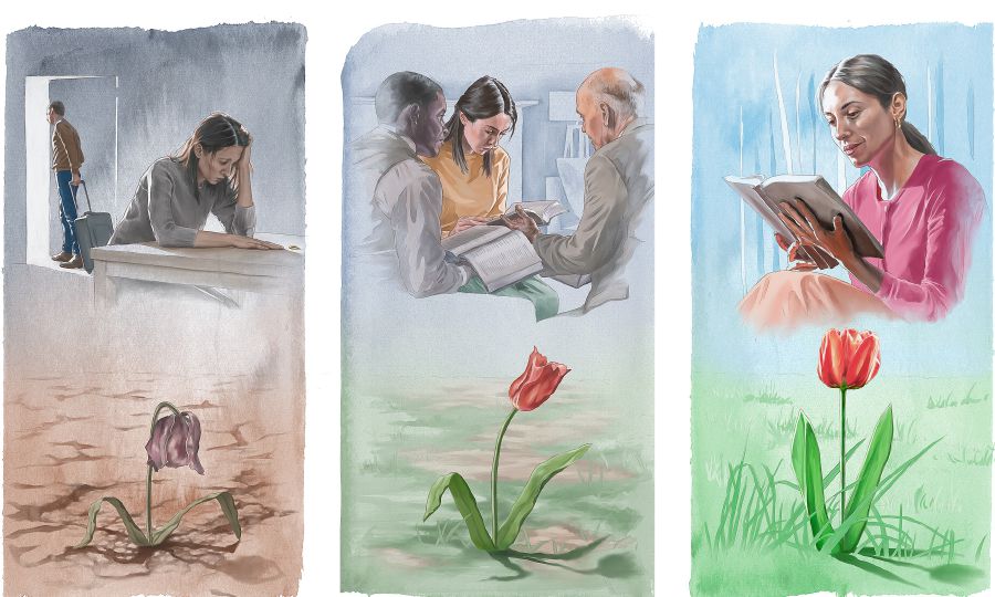 Hiji sadérék istri nalangsa basa ditinggal ku salakina; para kokolot nguatkeun manéhna; manéhna meunang panglilipur ti Alkitab