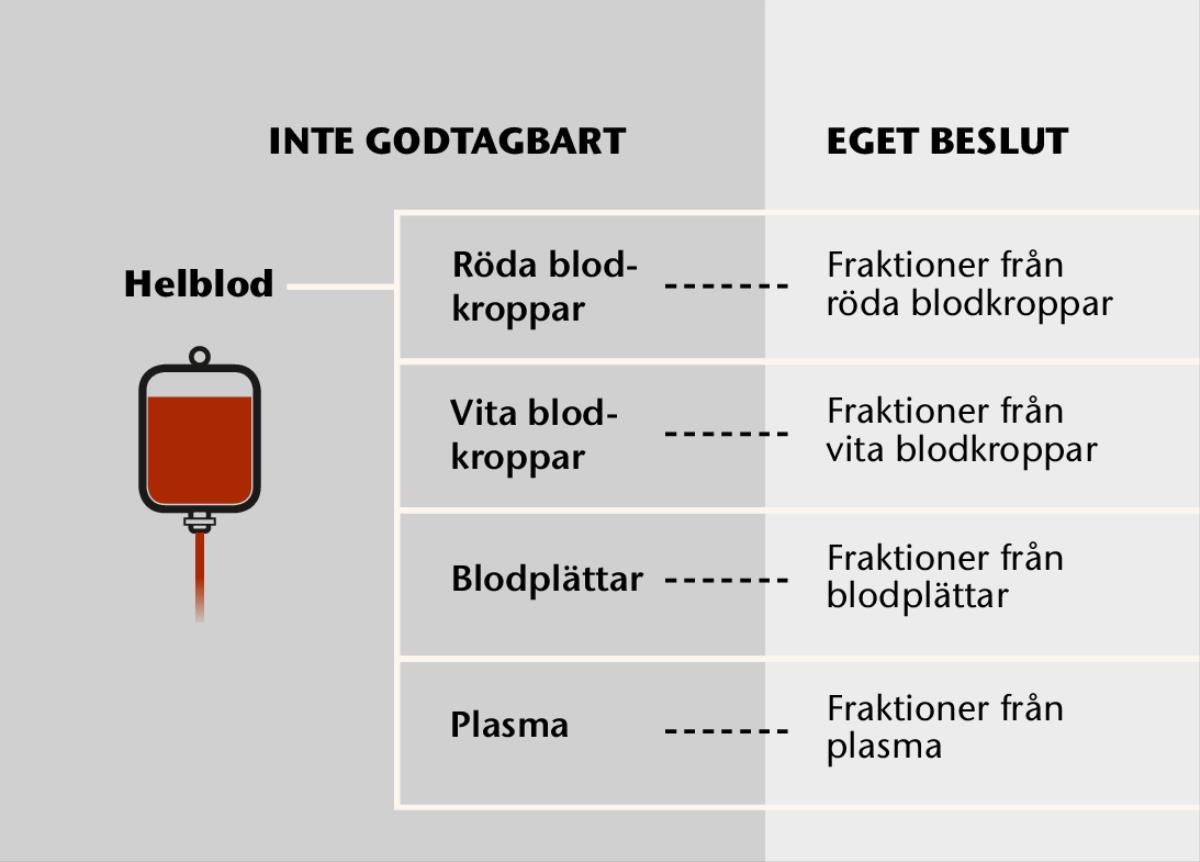 Blod, blodets fyra huvudkomponenter och fraktioner av blod.