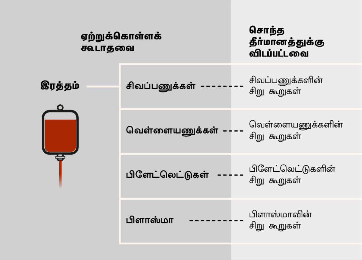 இரத்தம், அதன் நான்கு முக்கிய பாகங்கள் மற்றும் சிறுகூறுகள்