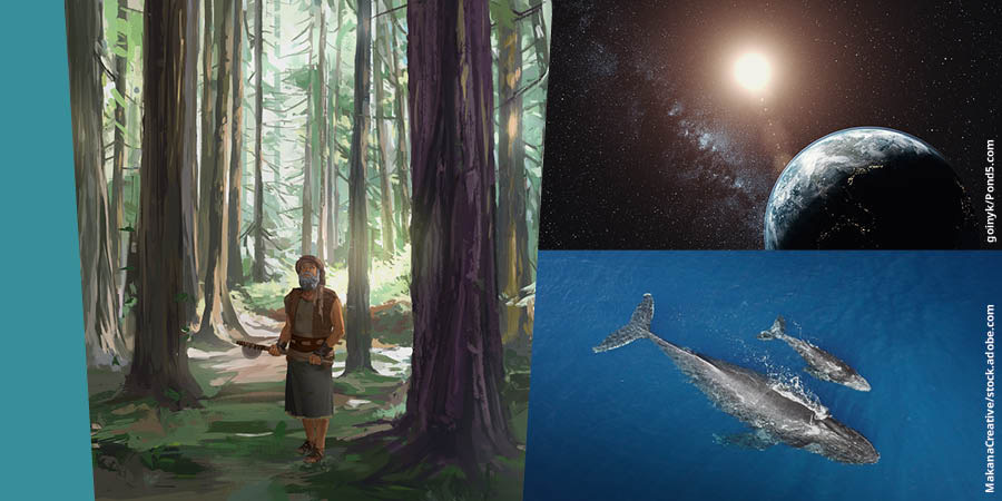 Stampe: 1. Noè el ga in man una manera e el varda le grande piante nela floresta. 2. La Tera, le stele e el sol visti del spasso. 3. Una balena col so fioleto visti del alto.